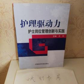 护理驱动力：护士岗位管理创新与实践