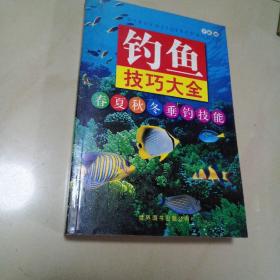 钓鱼技巧大全（促销版）