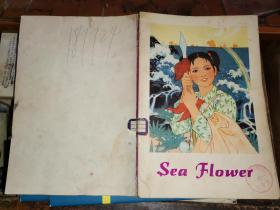1975年英文版彩色连环画：    《海花》