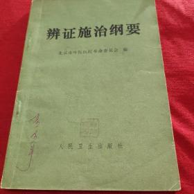 辨证施治纲要