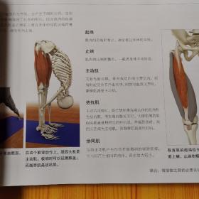 瑜伽3D解剖书I：肌肉篇，II动作篇（2本）