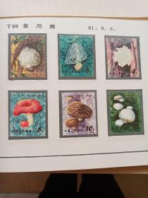 T66.食用菌邮票一套。