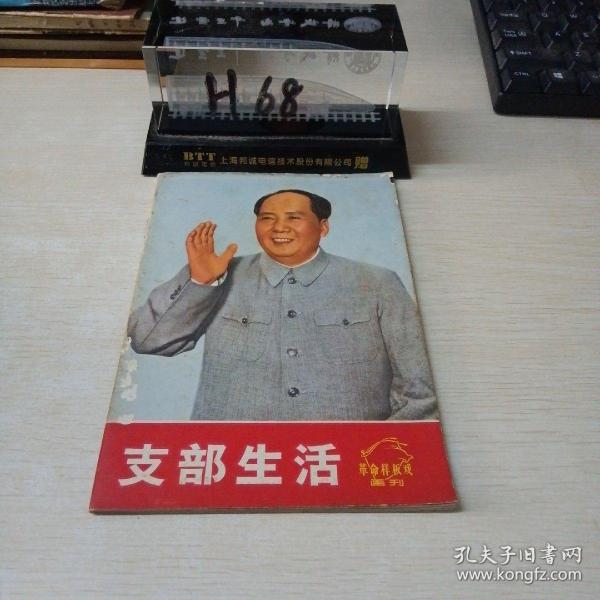 支部生活革命样板戏画刊