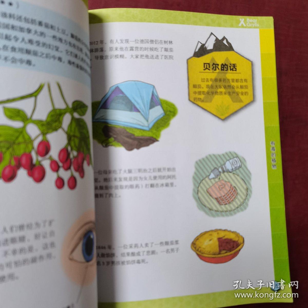 荒野求生技能手册：野外常见致命植物