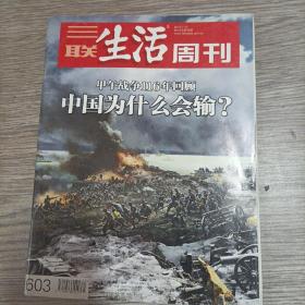 三联生活周刊（2010年第45期）