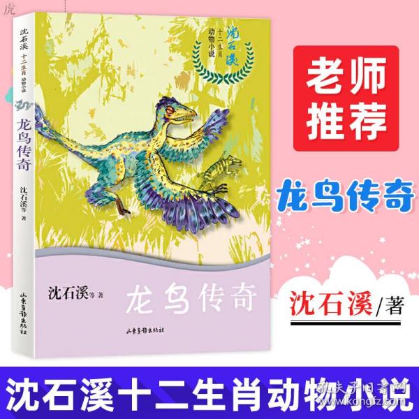 龙鸟传奇/沈石溪十二生肖动物小说