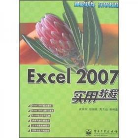 Excel 2007实用教程