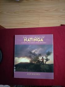 THE LOST BOYS OF NATINGA