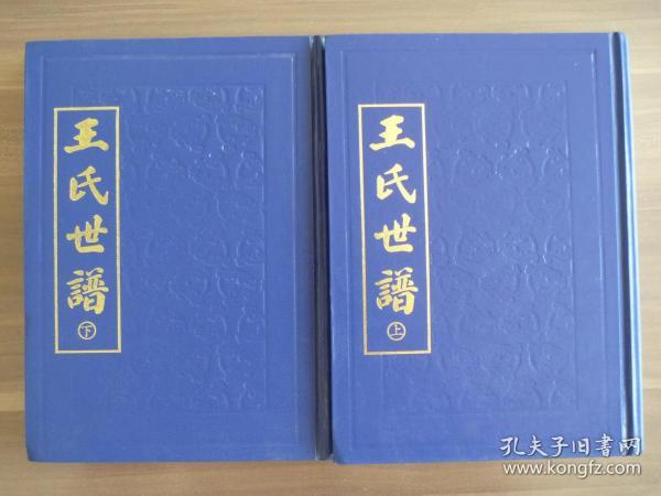 王氏世谱【山东淄川窎桥王氏家族上卷，下卷】