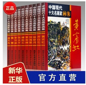 中国现代十大名画家画家 画集正版 精装铜版纸彩印全10册
