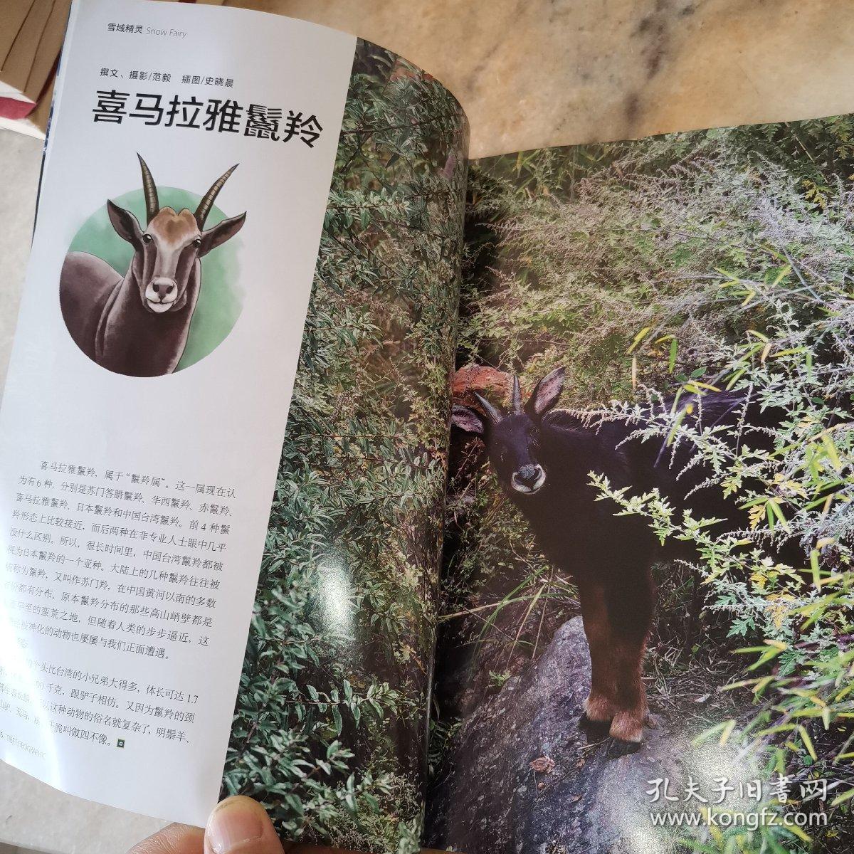 西藏人文地理 江孜地毯 2017年1月 第一期 杂志
