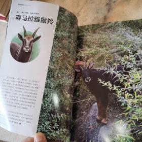 西藏人文地理 江孜地毯 2017年1月 第一期 杂志