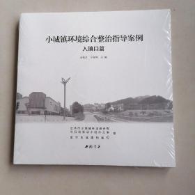 小城镇环境综合整治指导案例入镇口篇