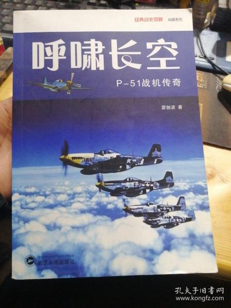 呼啸长空：P-51战机传奇