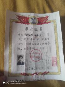 1960年上海16初级中学毕业证书，带毛头像和校长私人印章