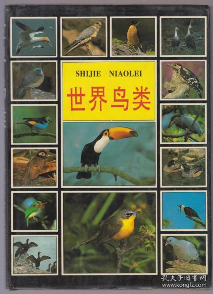 世界鸟类（97年精装16开1版2印）