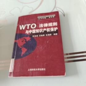 WTO法律规则与中国知识产权保护