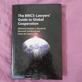 The BRICS-Lawyers' Guide to Global Cooperation《金砖国家律师全球合作指南》, Cambridge University Press，剑桥大学出版社