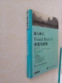 深入学习VISUAL BASIC6开发与实例