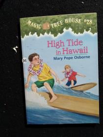 High Tide in Hawaii