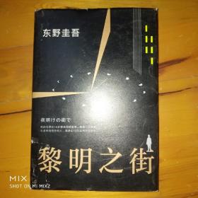 黎明之街（东野圭吾极具突破性的经典长篇小说）