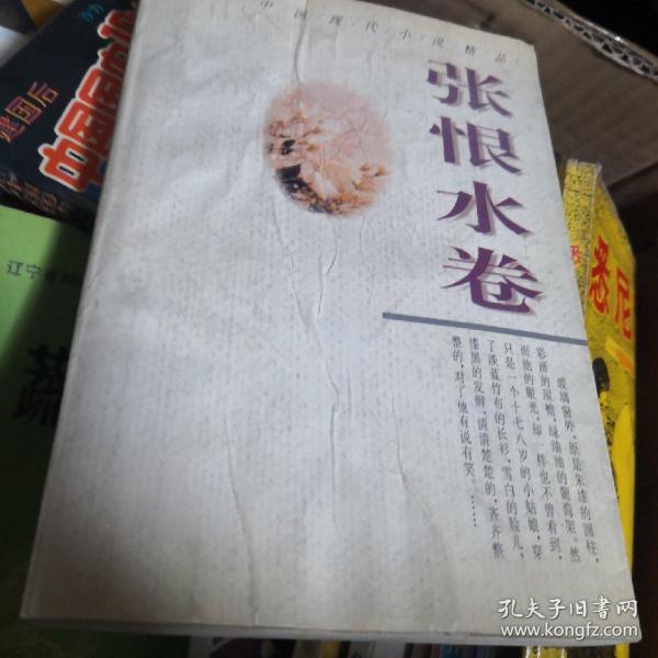 中国现代小说精品.张恨水卷