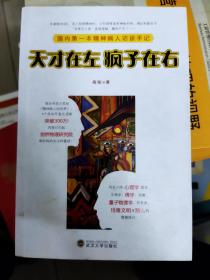 天才在左 疯子在右：国内第一本精神病人访谈手记