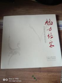 魅力北票（画册 中英文字）