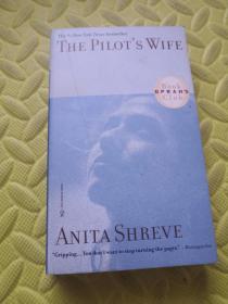 THE PILOTS WIFE
