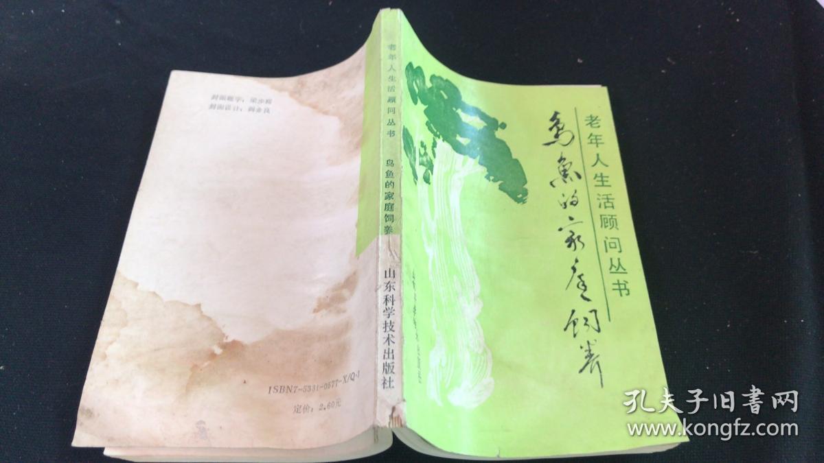 鸟鱼的家庭饲养