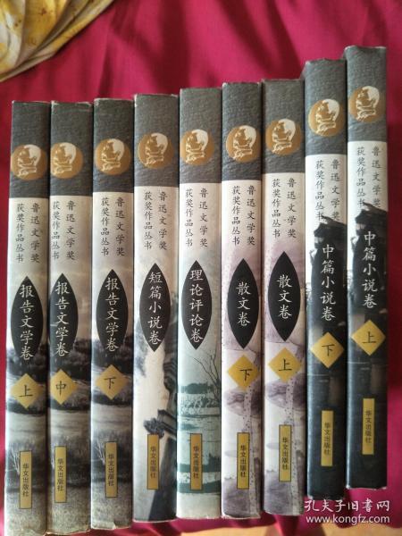 鲁迅文学奖获奖作品丛书：中篇小说卷 上下、散文卷 上下、报告文学卷 上中下、短篇小说卷、理论评论卷，9本合售