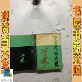 中国名菜大观菜