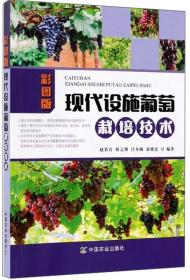 现代设施葡萄栽培技术（彩图版）