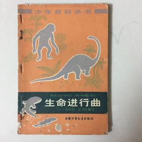 生命进行曲