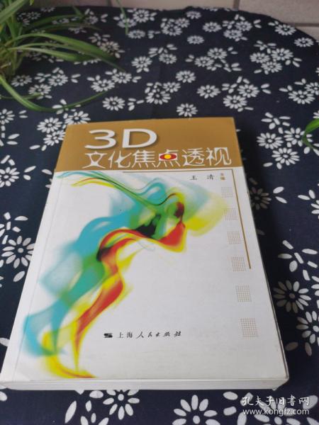 3D文化焦点透视