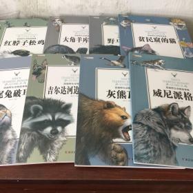 西顿野生动物故事集（全八册）
