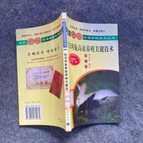 杂交肉兔高效养殖关键技术