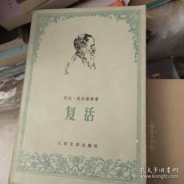 复活世界名著人民文学出版社的 品相好！