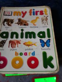 DK  my first animal book