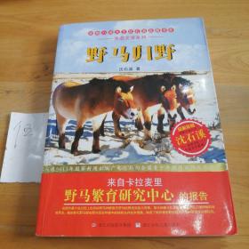 动物小说大王沈石溪品藏书系·生态文学系列：野马归野