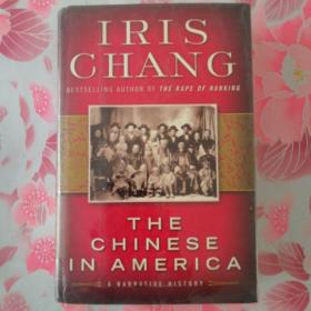 The Chinese In America
A Narrative History 英语进口原版