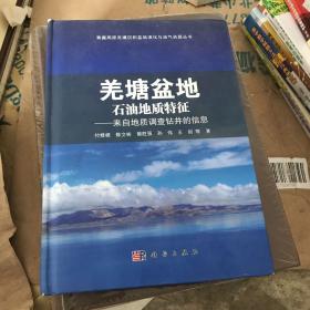 羌塘盆地石油地质特征——来自地质调查钻井的信息