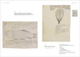 Alexander von Humboldt: The Complete Drawings from the American Travel Journals亚历山大·冯·洪堡，英文原版