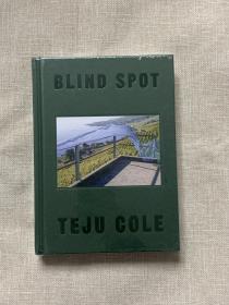 Blind Spot Teju Cole