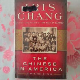 The Chinese In America
  A Narrative History 英语进口原版