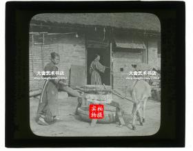 清代民国玻璃幻灯片-----民国时期东北满洲的妇女用驴车拉磨磨豆子，准备一天的饭食。