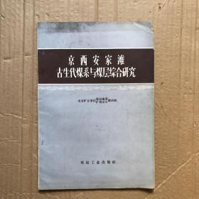 京西安家滩古生代煤系与煤层综合研究