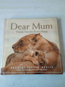 Dear Mum thank you for everything