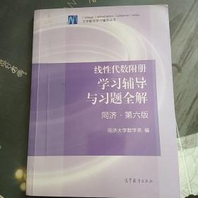 线性代数附册 学习辅导与习题全解（同济·第六版）