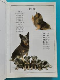 宠物饲养~~~~~~~~~名犬 全世界300多种名犬的彩色图鉴（满50包邮）